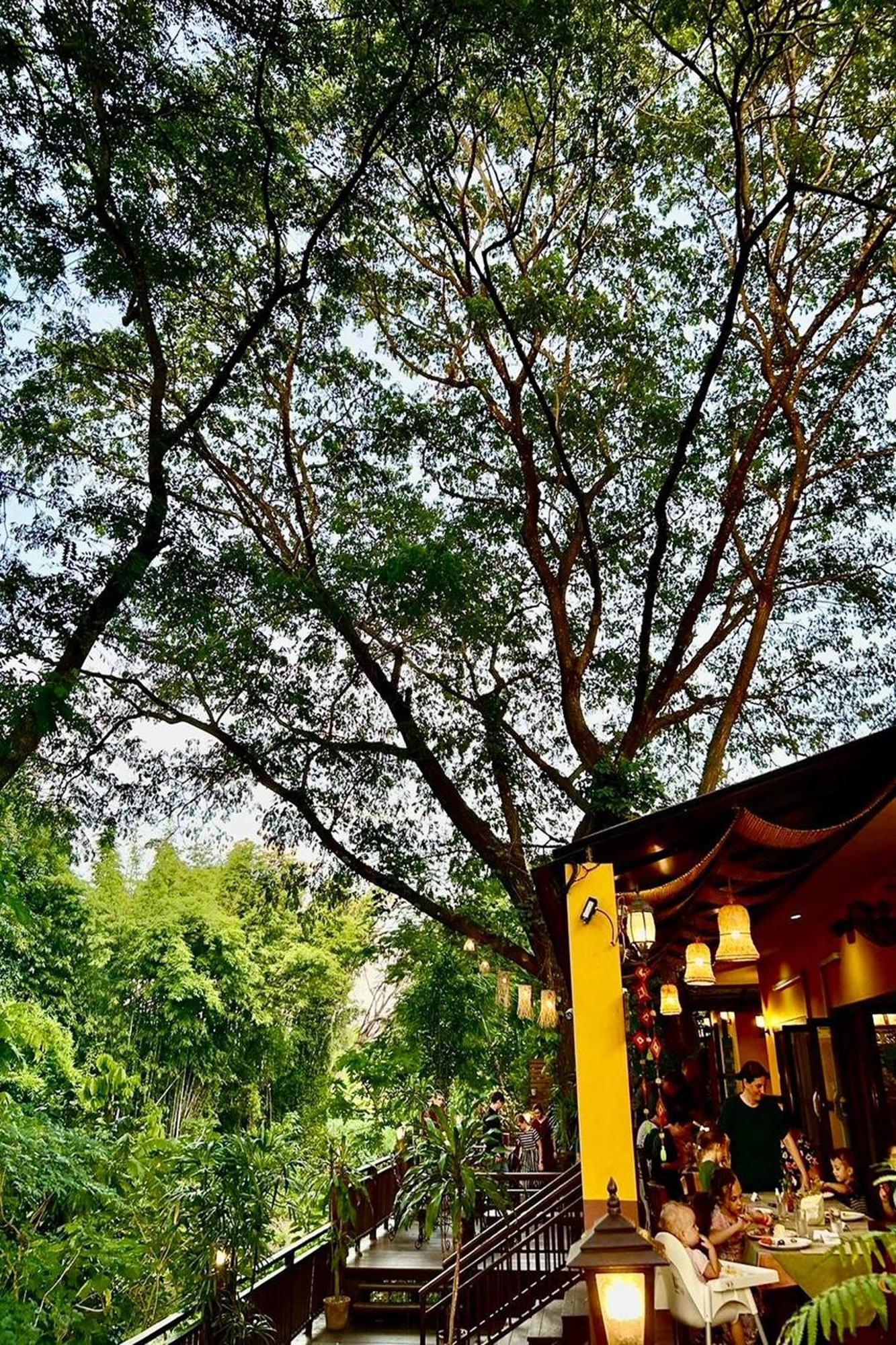 Papai Country Lodge Sha Ban Mae Pong Zewnętrze zdjęcie